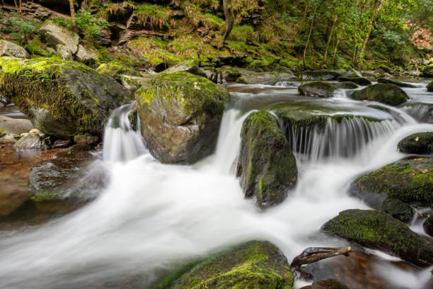 istock Watersmeet in Exmoor National Park 2192514024