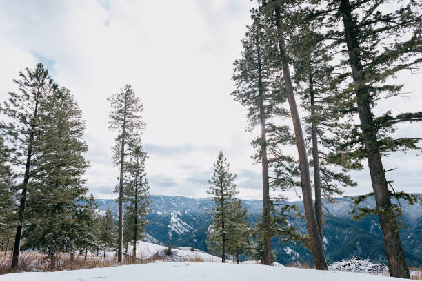 istock Snow in the Washington mountains. 2192515075