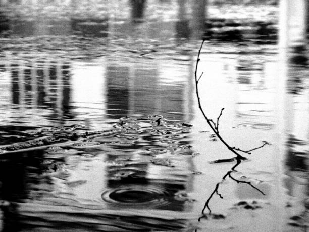 istock A twig in a stormy puddle 2192516990