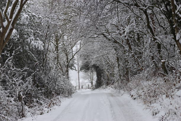 istock Snow covered countryside road in winter 2192520592