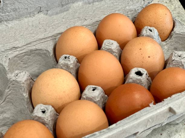 istock Carton of Free Range Eggs 2192524209