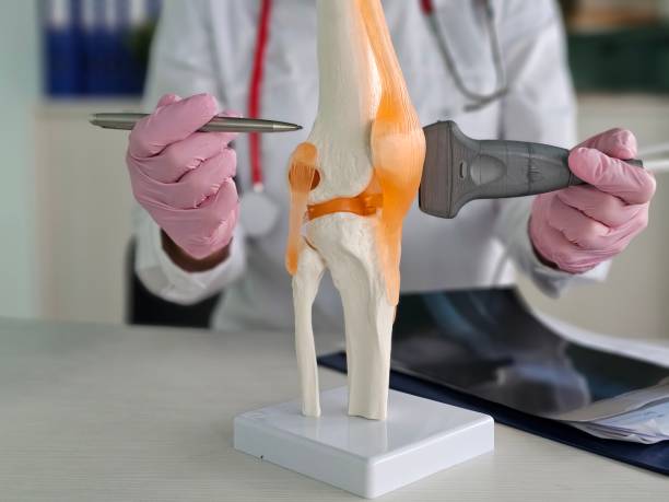 istock Medical professional demonstrating knee joint anatomy 2192526411