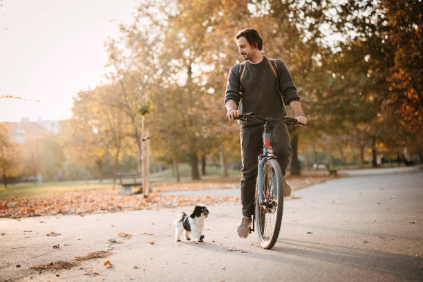 Man rides a bicycle in the park