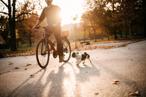 istock Man rides a bicycle in the park 2192526618