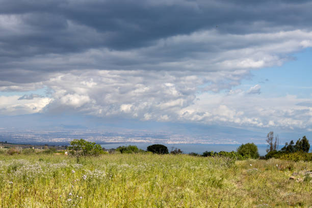 Fresh green grass and plants on a meadow, surrounded by bushes and trees. Hill beside Mediterranean sea, mountain in the background. Cloudy sky. East of Sicily, Italy.