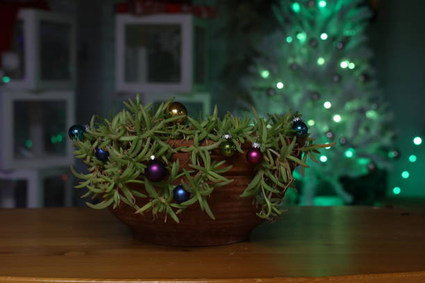 istock Beautiful Christmas and New Years scene 2192529341