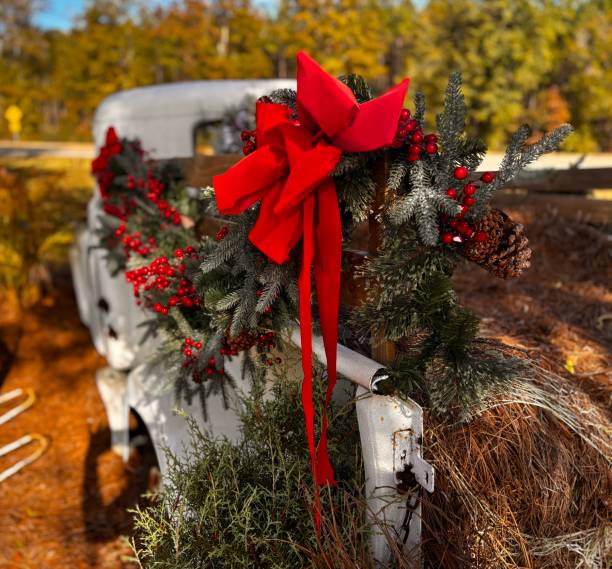 istock Old White truck ready for winter 2192531397