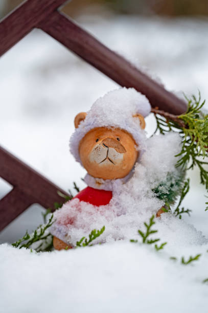 snow covered teddy bear in a garden in winter