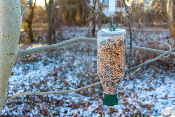 Bird feeder hanging on a tree branch in a snowy forest setting