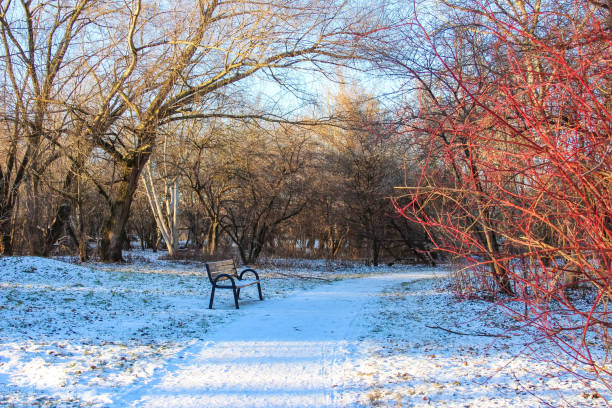 istock Winter tranquility in a snow-covered park with a bench overlooking nature 2192534951