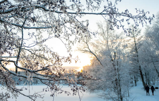 Lake shoreline in Lahti Finland