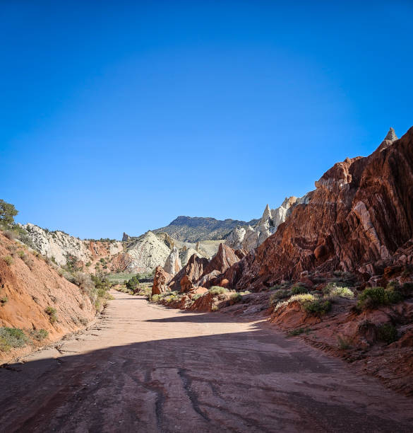 istock Cottonwood Dirt Track (4) 2192536686