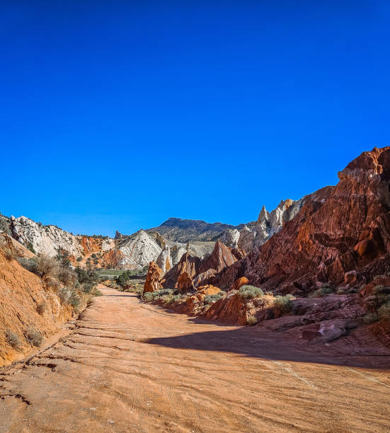 istock Cottonwood Dirt Track (6) 2192536689