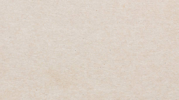 istock Paper texture cardboard background. Grunge old paper surface texture. 2192537782