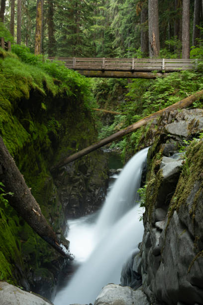 istock Two Streams of Sol Duc Falls Under Wooden Bridge 2192539361