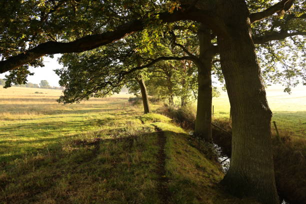 istock Sunrise over grassy field 2192539837