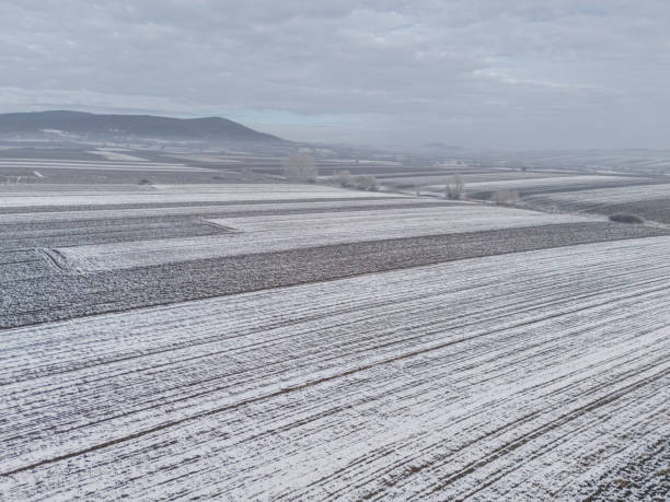 Agricultural fields covered with snow