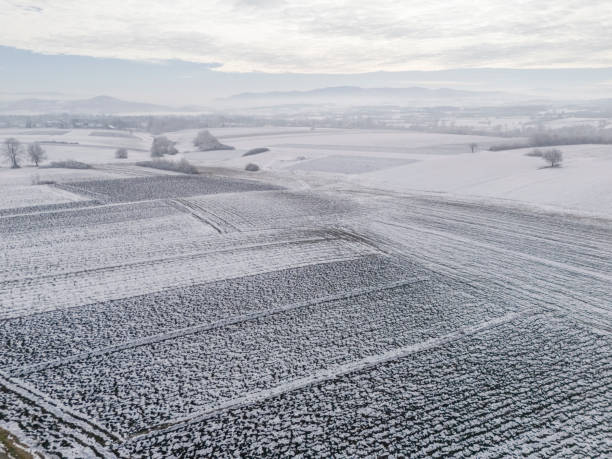 Small business sustainable agriculture, fields in winter