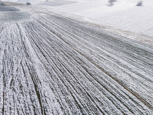 Agricultural fields covered with snow