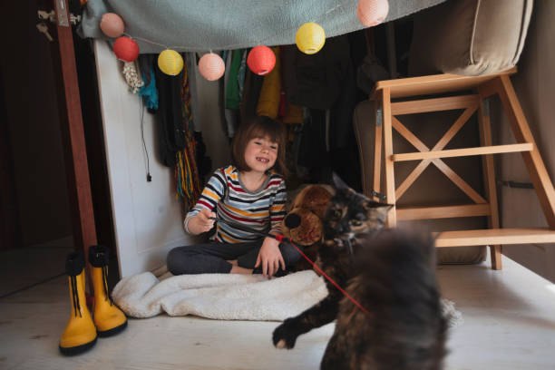 istock Smiling little child playing with his cat at home 2192547445