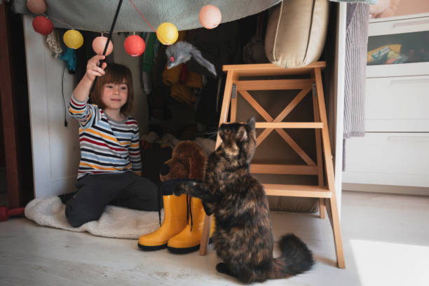 istock Smiling little child playing with his cat at home 2192547475