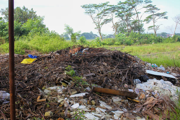 istock piles of tree branches and plastic waste piled up on the edge of the rice fields 2192554430
