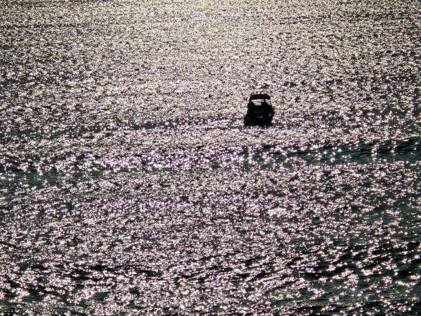 Sunrise fishing at the ocean, background with copy space
