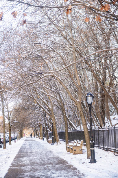 istock Sidewalk in Brooklyn NYC on a Winter Day 2192557131