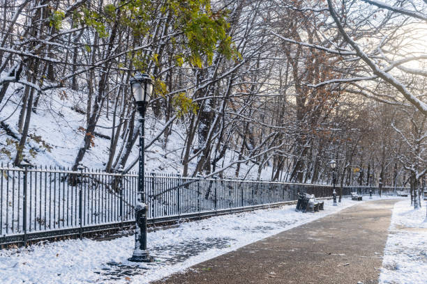 istock Sidewalk in Brooklyn NYC on a Winter Day 2192557536
