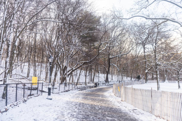 istock Curving Footpath with Snow in Prospect Park Brooklyn 2192557582
