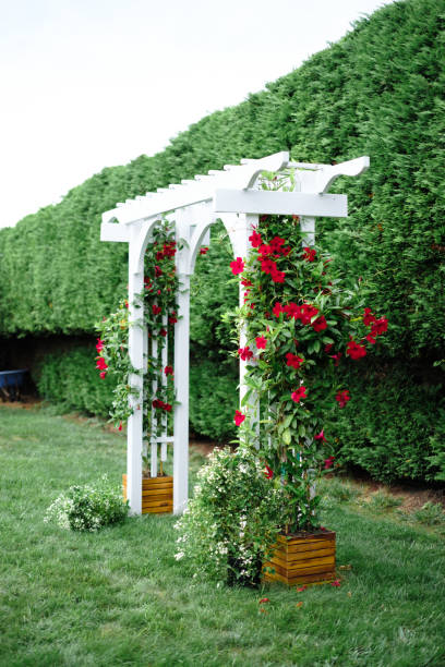 istock outdoor wedding trellis with flowering vine 2192559908