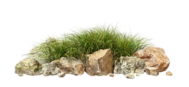 istock Rocks stones and grassy shrubs meadows cut out white backgrounds 3d rendering 2192569781
