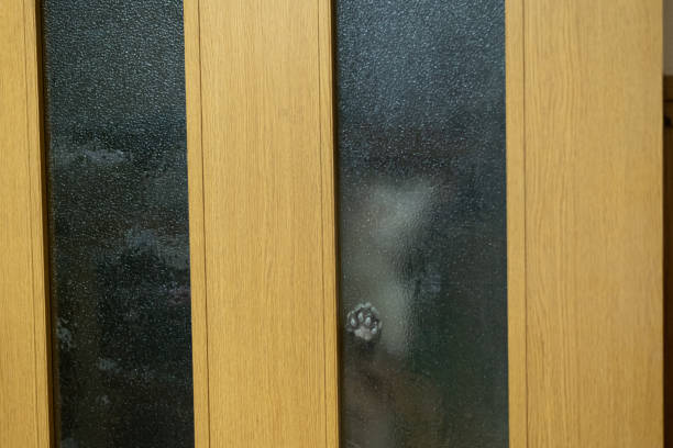 istock Cute cat seen through frosted glass 2192578067