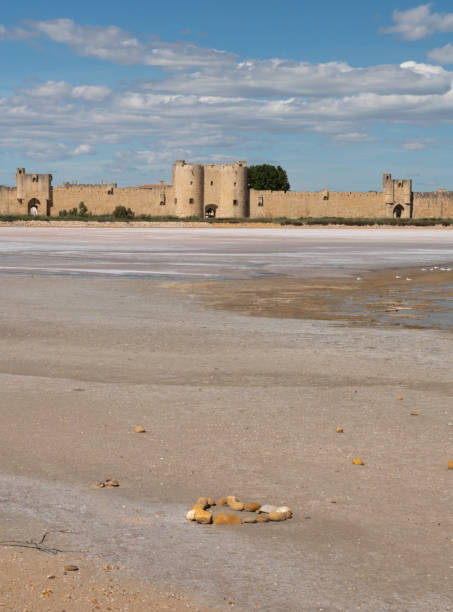 istock Fortified wall around Aigues Mortes, Camargue 2192579753
