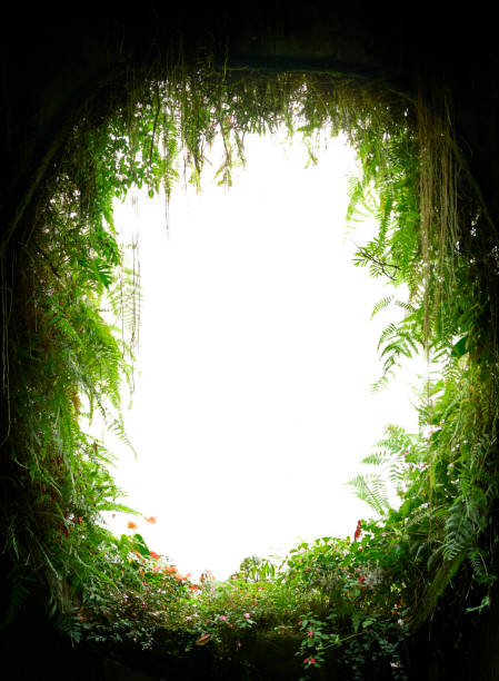 istock Lush green foliage forming a natural frame around bright white copy space 2192582850
