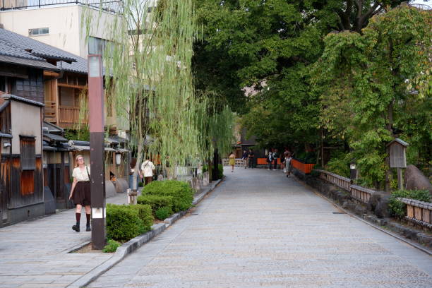 Romantic walk along Gion Shirakawa Canal, Kyoto City, Japan during Springtime
