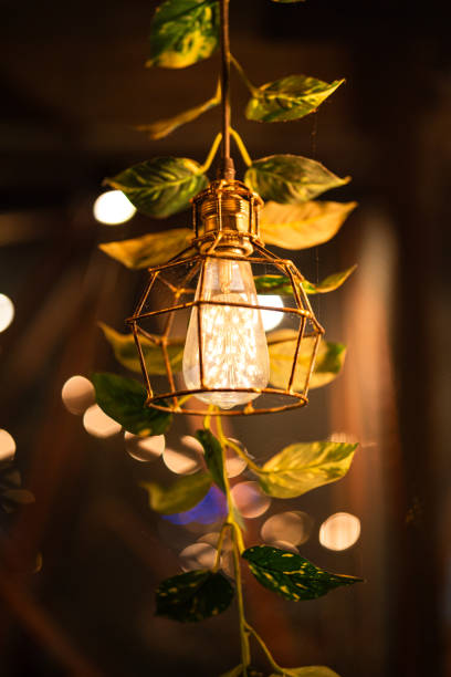 istock Classic style ceiling lighting lamp with round iron cage. 2192587411