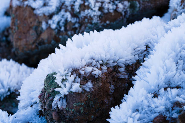 Hoar Frost Rime Ice on Rocks - Scenic area with Wasatch Mountain views and details of rime ice crystals growing on rocks in foggy cold conditions.