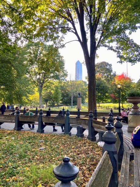 istock Park Bench View of Central Park 2192592502