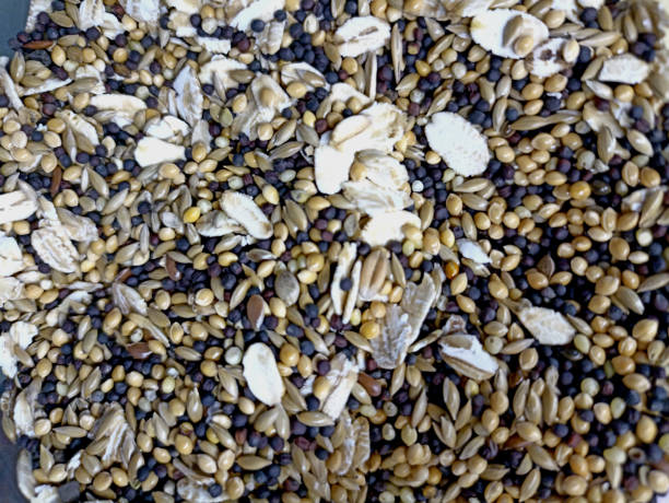 istock Grains of different colors and sizes. Feed for birds. 2192596682