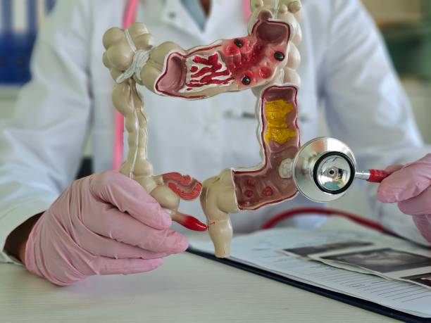 istock Medical professional examines anatomical model of human digestive system using stethoscope for educational purpose 2192599085