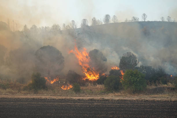 istock Forest Fire in Gallipoli, Canakkale, Turkiye 2192602255