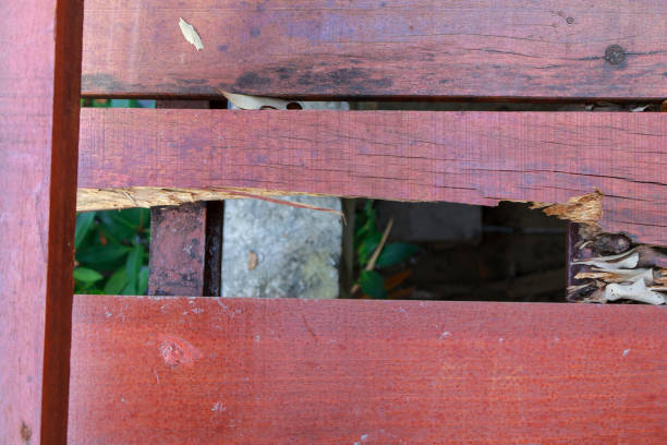 wooden bridge is damaged and has holes.