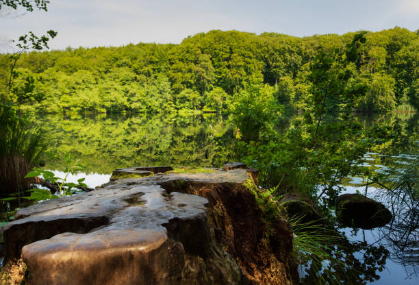 Hertasee - Parco Nazionale Jasmund ( Rügen )