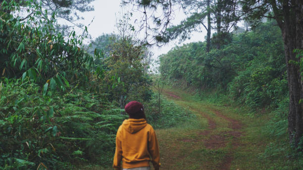istock Rear view image of a woman walking into the forest 2192617621