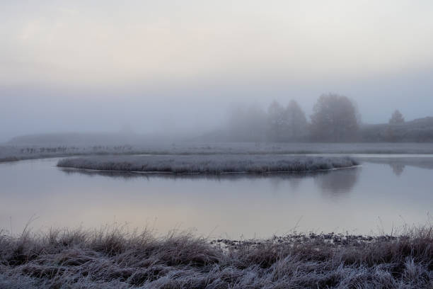 istock Fog in the swamp. 2192622584