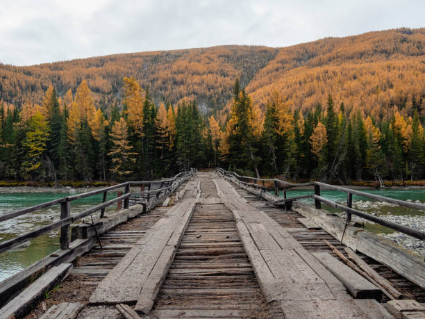 istock dilapidated wooden road bridge over the mountain river 2192622588