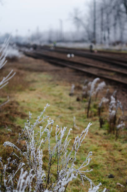 A winter scene of railway tracks surrounded by frost-covered vegetation and bare trees. The tracks extend into the distance, with signal posts and a calm, foggy atmosphere adding to the serene rural setting.