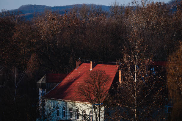 A charming house with a red roof nestled amidst bare trees in a forested area during late autumn or winter. The surrounding hills and muted colors create a cozy and tranquil rural scene.