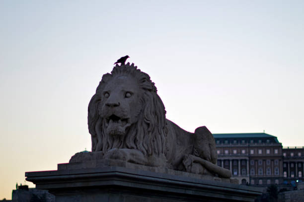 istock Chain Bridge in Budapest in daylight 2192627311
